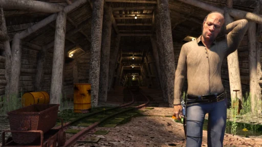 Screenshots Brooks in Wild West Online Porn Games